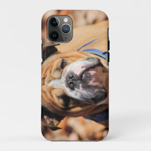 バディ・ブルドッグ iPhone 11 PROケース