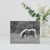 バディ ポストカード (スタンド正面)