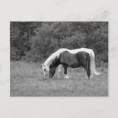 バディ ポストカード (正面)