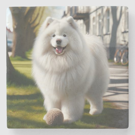 バディ・ラブ ストーンコースター (正面)