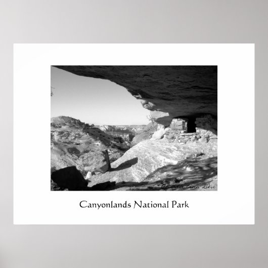 バトアステカ ポスター (正面)