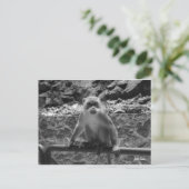 バトゥケーブ ポストカード (スタンド正面)