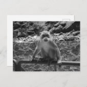 バトゥケーブ ポストカード (正面/裏面)