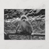 バトゥケーブ ポストカード (正面)