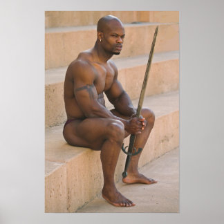 バトルの間のユリシーズのポスター ポスター