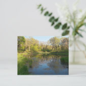 バトルクリーク公園の湿地 ポストカード (スタンド正面)