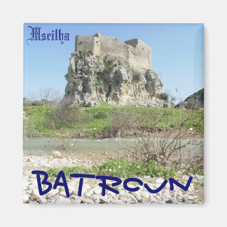 バトルン磁石 マグネット