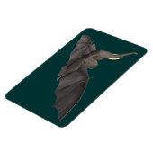 バト飛んでいるファント マグネット (左側)