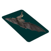 バト飛んでいるファント マグネット (右側)