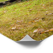 バドオグルハウススモーキー素晴らしマウンテンズナショナル ポスター (角)