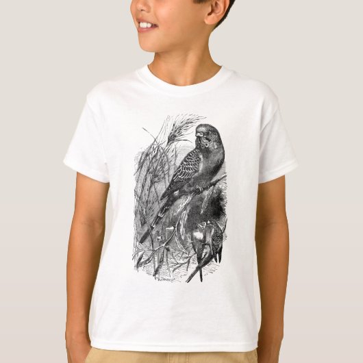 バドゲリガー(ブジエ・パレーケエ) Tシャツ (正面)