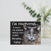 バドス・キャッツ ポストカード (スタンド正面)