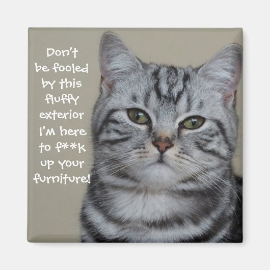 バドス・キャッツ マグネット (正面)