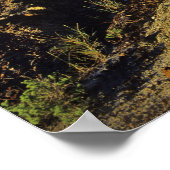 バドランドの形成Dinosaur Provincial Park 2 ポスター (角)