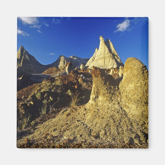 バドランドの形成Dinosaur Provincial Park 2 マグネット (正面)