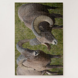 バドランド国立公園のヒツジ ジグソーパズル