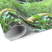 バナナのスラグ ラッピングペーパー (ロールコーナー)