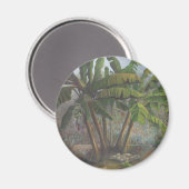 バナナの木 マグネット (正面/裏面)