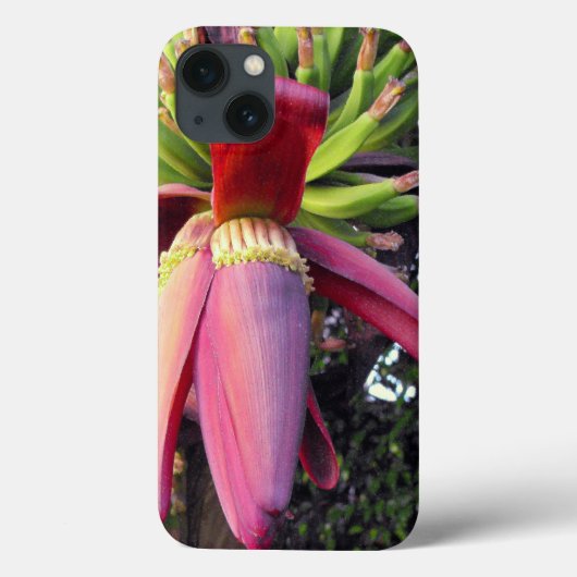 バナナの花のクローズアップ Case-Mate iPhoneケース (裏面)