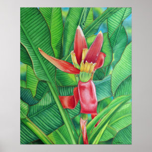 バナナの花 ポスター