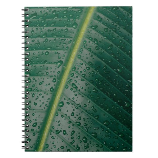 バナナの葉に水滴を付ける ノートブック (正面)