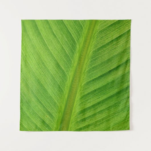 バナナの葉のバナナ繊維 タペストリー (正面)