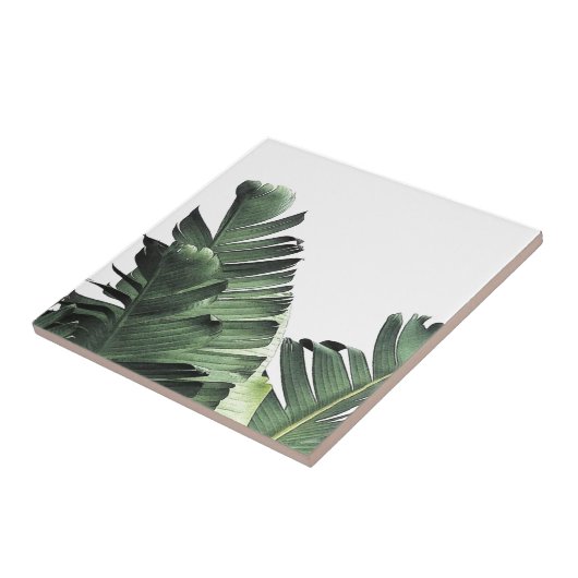 バナナの葉 タイル (側面)