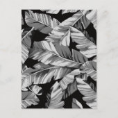 バナナの葉 3 シーズンポストカード (正面)