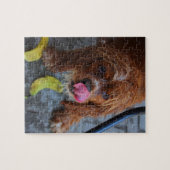 バナナを濡らした犬 ジグソーパズル (横)