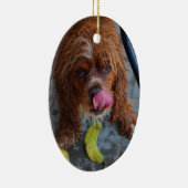 バナナを濡らした犬 セラミックオーナメント (右)