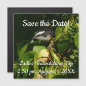 バナナイ食べト鳥の熱帯写真 (正面/裏面)