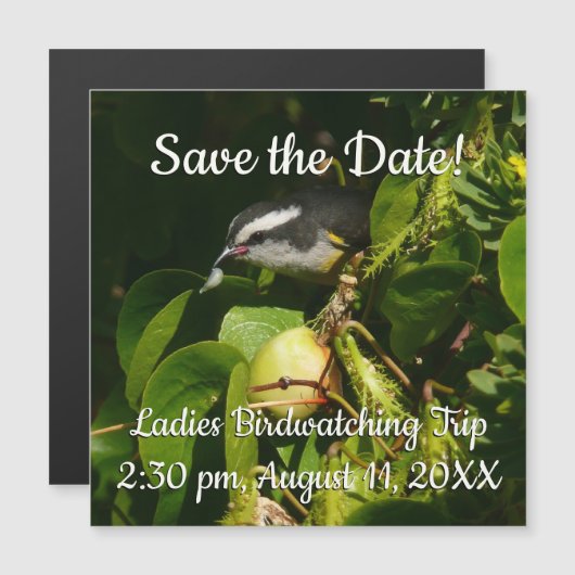 バナナイ食べト鳥の熱帯写真 (正面/裏面)