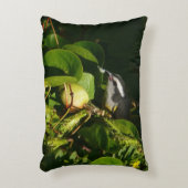 バナナイ食べト鳥の熱帯写真 アクセントクッション (正面(垂直))