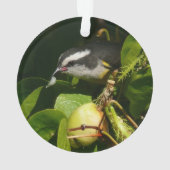 バナナイ食べト鳥の熱帯写真 オーナメント (裏面)