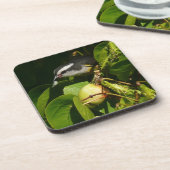 バナナイ食べト鳥の熱帯写真 コースター (左側)