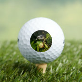 バナナイ食べト鳥の熱帯写真 ゴルフボール (インサイチュ 木)