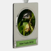 バナナイ食べト鳥の熱帯写真 シルバープレートバナーオーナメント (右)