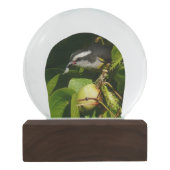 バナナイ食べト鳥の熱帯写真 スノーグローブ (裏面)