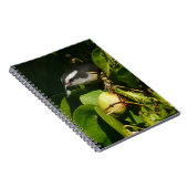 バナナイ食べト鳥の熱帯写真 ノートブック (右側)