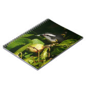 バナナイ食べト鳥の熱帯写真 ノートブック (左側)