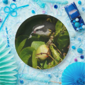 バナナイ食べト鳥の熱帯写真 ペーパープレート (パーティー)