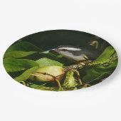 バナナイ食べト鳥の熱帯写真 ペーパープレート (アングル)