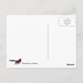 バナナイ食べト鳥の熱帯写真 ポストカード (裏面)