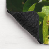 バナナイ食べト鳥の熱帯写真 マウスパッド (コーナー)