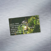 バナナイ食べト鳥の熱帯写真 マグネット名刺 (インサイチュ)