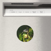 バナナイ食べト鳥の熱帯写真 マグネット (インサイチュ (食洗機))