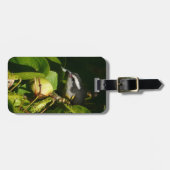 バナナイ食べト鳥の熱帯写真 ラゲッジタグ (正面横)