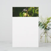 バナナイ食べト鳥の熱帯写真 便箋 (スタンド正面)