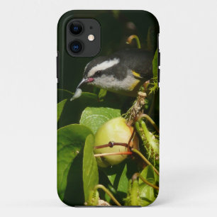 バナナイ食べト鳥の熱帯写真 iPhone 11 ケース