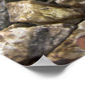 バナナスラグアートポスター ポスター (角)